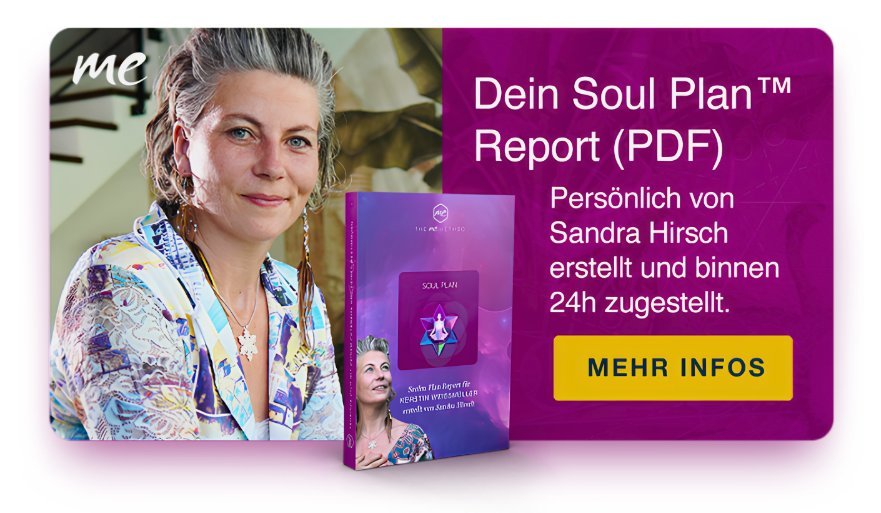 Seelenplan erkennen - Soul Plan Report von Sandra Hirsch